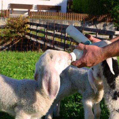 Landhaus Schmitte | Biberwier | Tiroler Zugspitz Arena